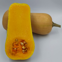 Dynia Waldo F1 250 nasion  st